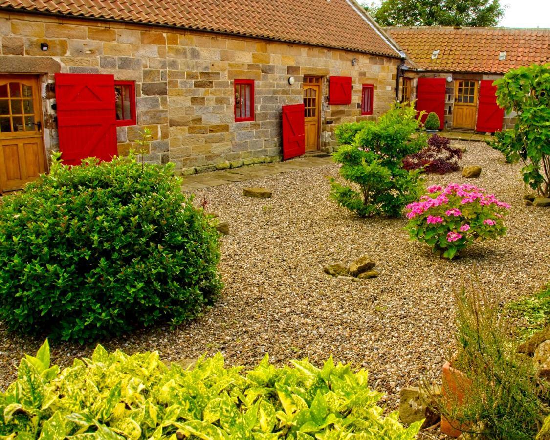 Spangle Cottage, Borrowby Farm Cottages Staithes Extérieur photo