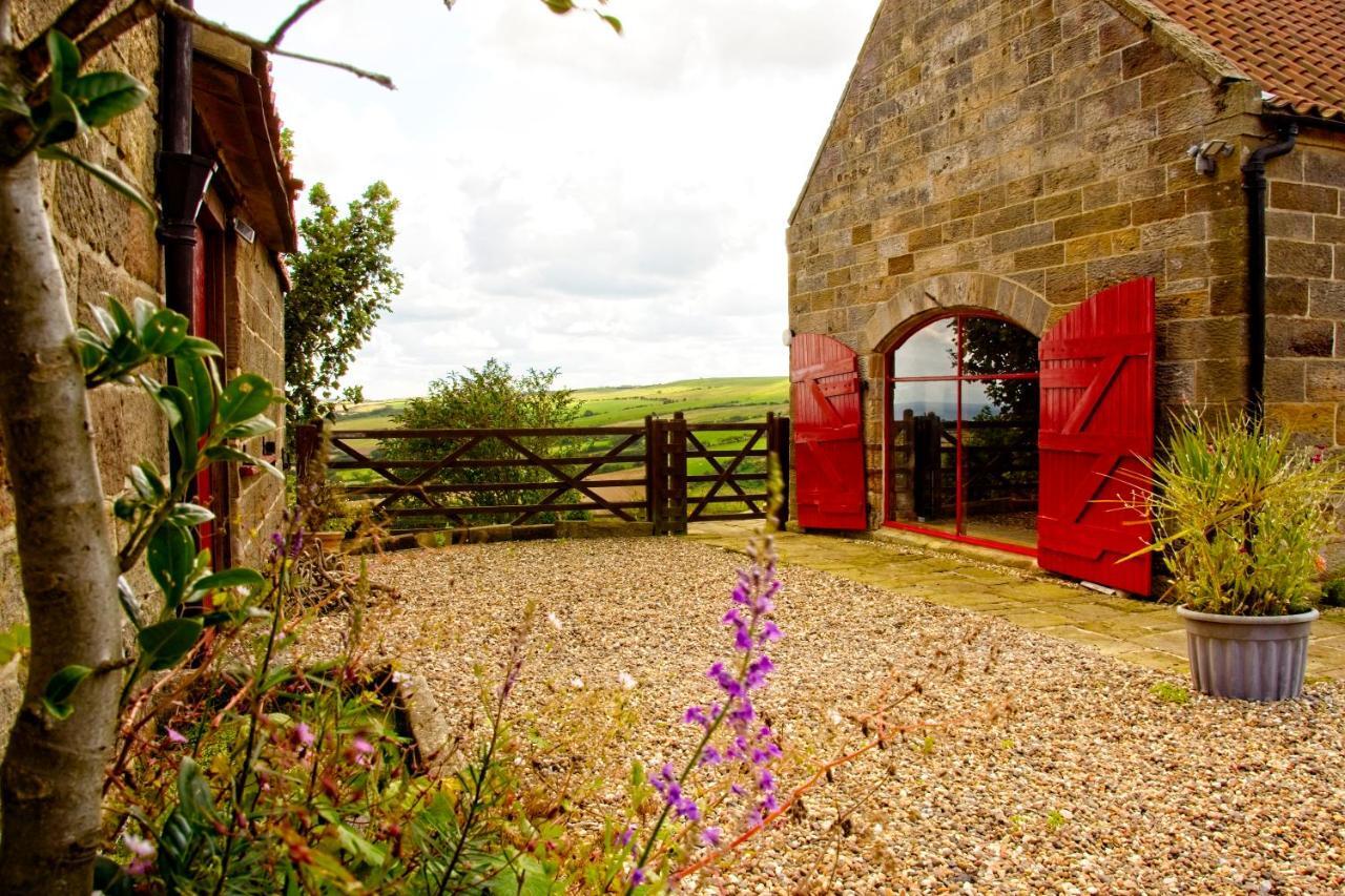 Spangle Cottage, Borrowby Farm Cottages Staithes Extérieur photo