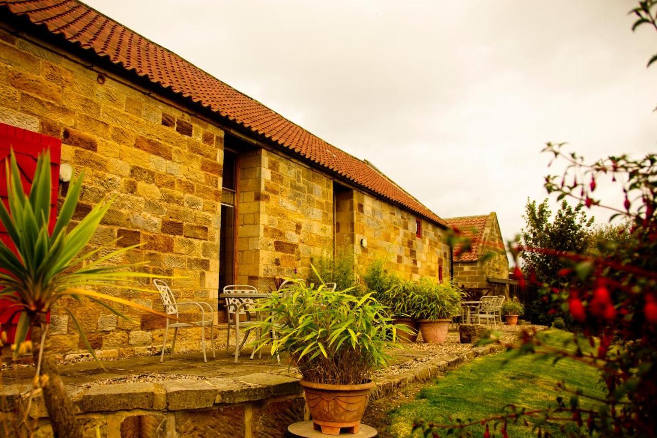 Spangle Cottage, Borrowby Farm Cottages Staithes Extérieur photo